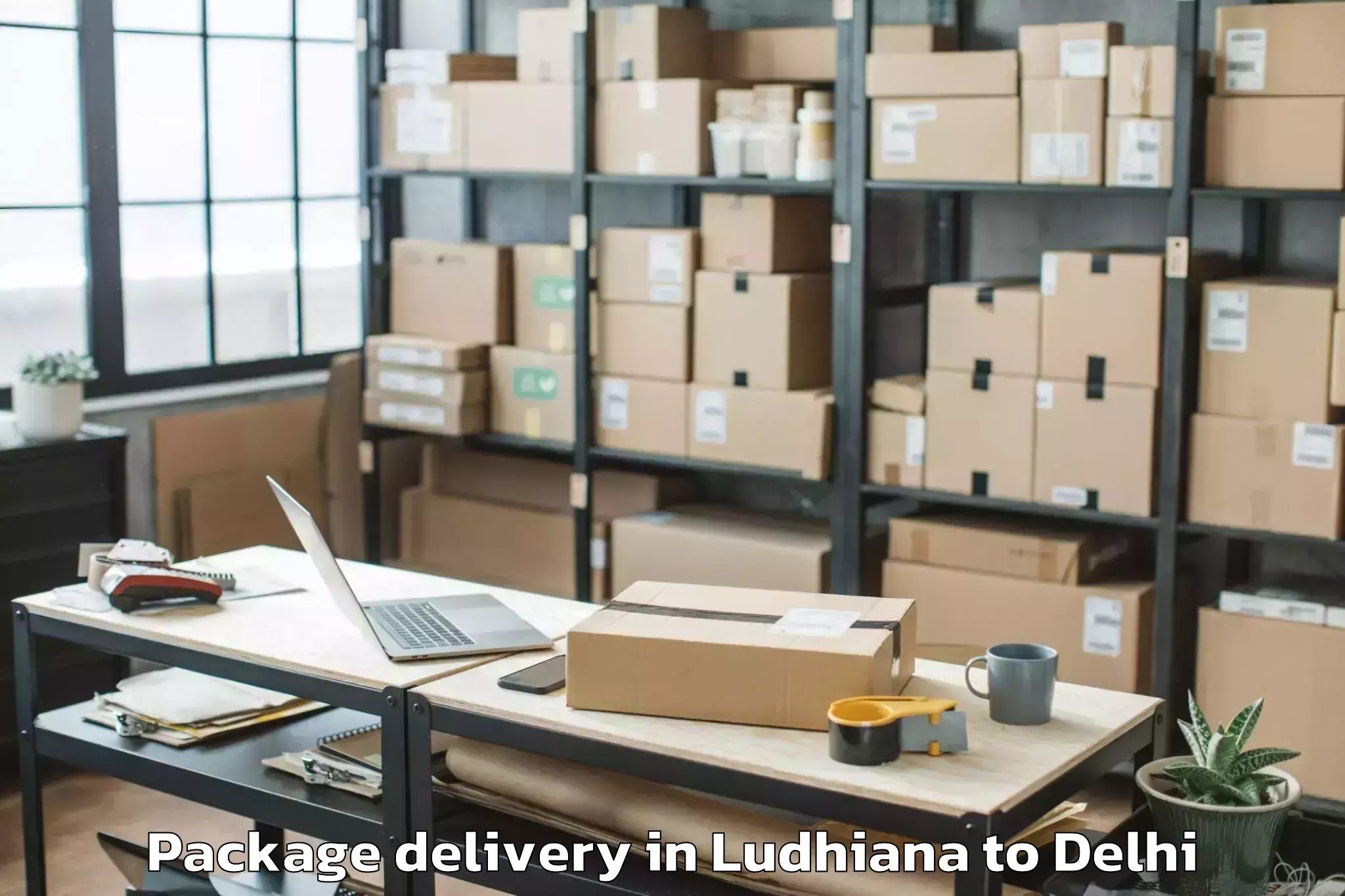 Hassle-Free Ludhiana to Sansad Marg Package Delivery